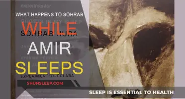 Sohrab's Plight: Amir's Unknowing Betrayal