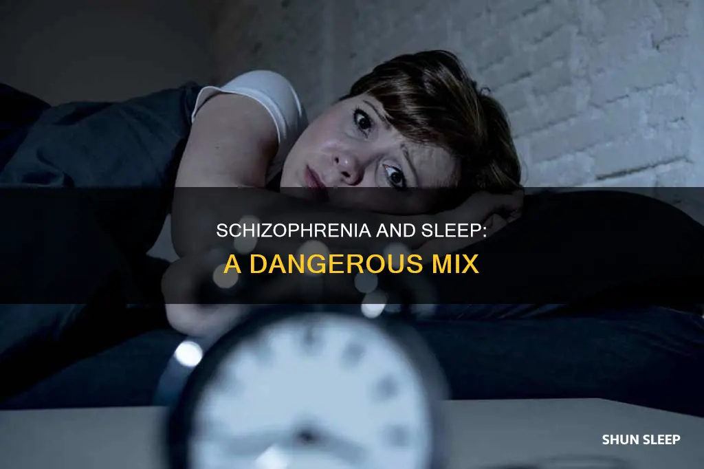 what happens to someone with schizophrenia if they don