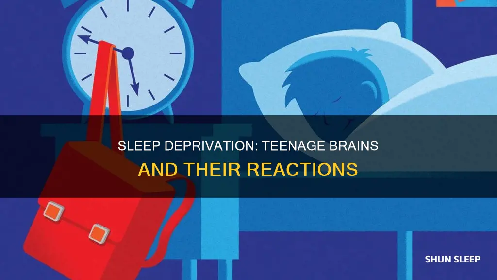 what happens to teenage brains with no sleep