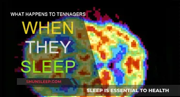 The Teenage Brain: Sleep and its Secrets