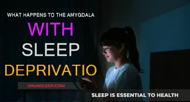 Sleep Deprivation: Impact on Amygdala and Emotional Responses