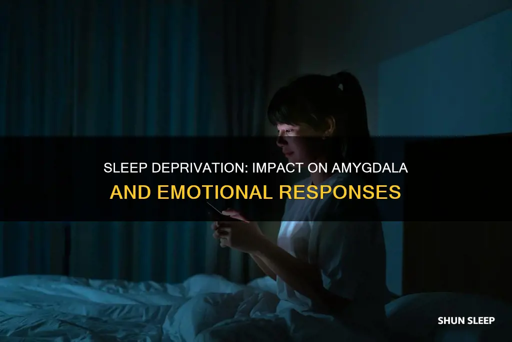 what happens to the amygdala with sleep deprivation