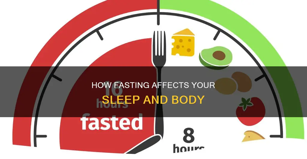 what happens to the body during sleep while it