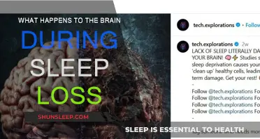 Brain Functions During Sleep Deprivation