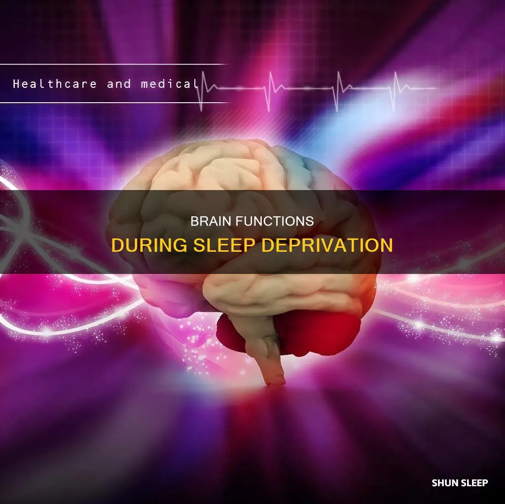 what happens to the brain during sleep loss