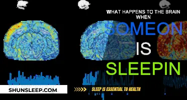 Brain Activity During Sleep: A Complex Process