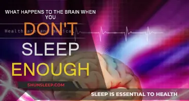 Sleep Deprivation: Understanding the Brain's Response