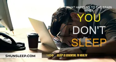 Sleep Deprivation: Understanding the Brain's Response