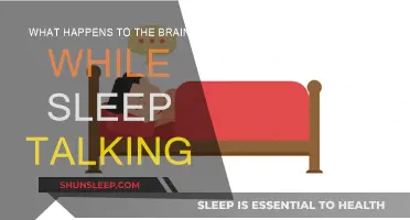 Sleep Talking: Brain Activity and Unconscious Speech
