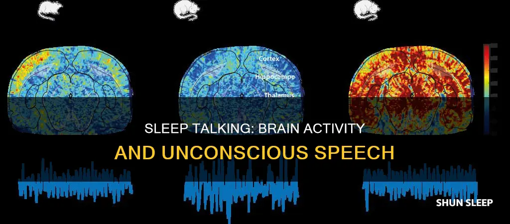 what happens to the brain while sleep talking