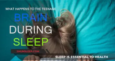 Brain Development: Sleep's Impact on Teenagers