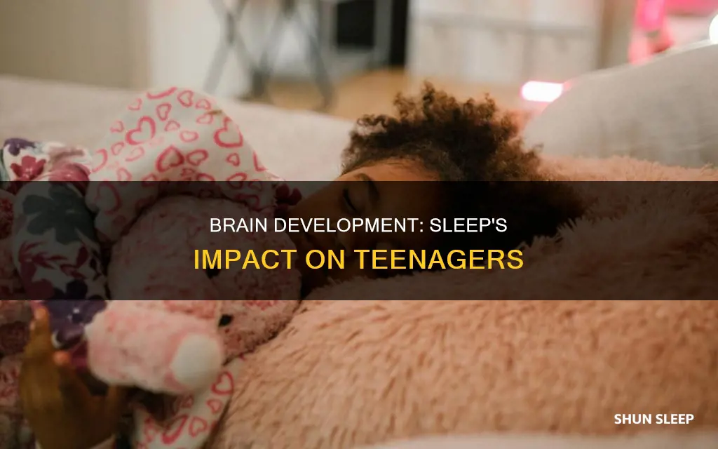 what happens to the teenage brain during sleep