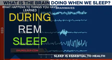 How REM Sleep Consolidates Your Learning