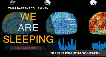 The Science of Sleep: Unraveling the Mystery