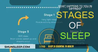Sleep Stages: Unraveling the Mystery of Your Slumber