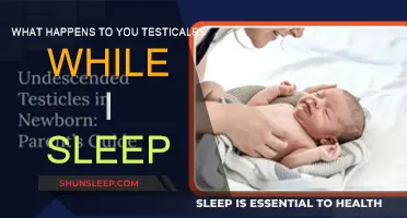 The Sleepy Testicle Mystery: What's Happening Down There?