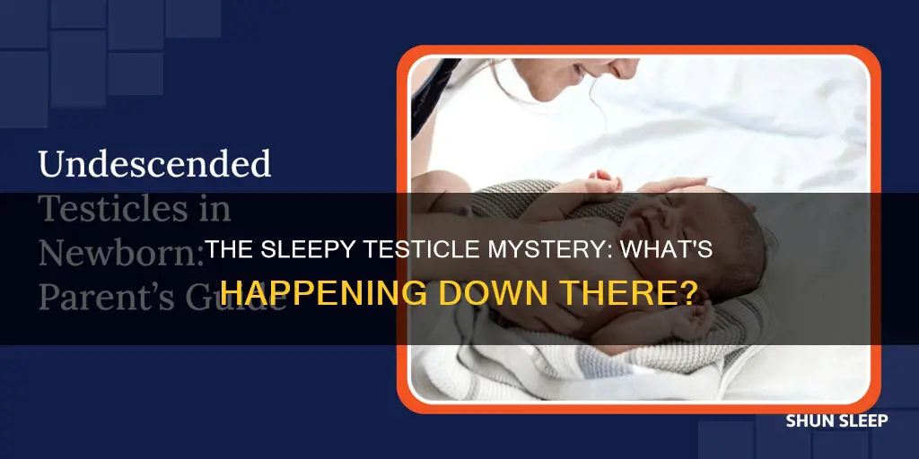what happens to you testicales while i sleep