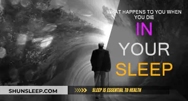 The Mystery of Dying in Your Sleep: What Happens?