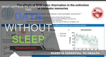 Sleep Deprivation: The Body's Response After 48 Hours