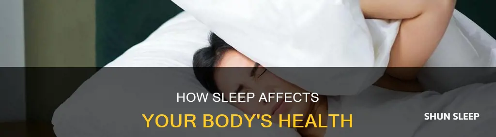 what happens to your body durring sleep