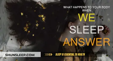 Sleep: Body's Restoration and Recharge Time