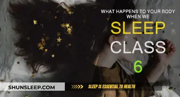 Sleep: Body's Restoration and Recharge Time