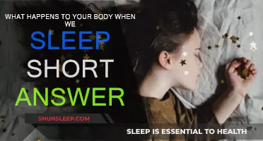 Sleep: Body's Essential Reset and Repair Mode