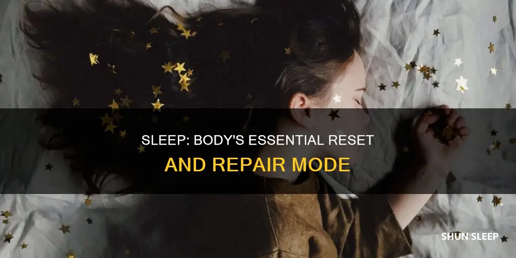 what happens to your body when we sleep short answer