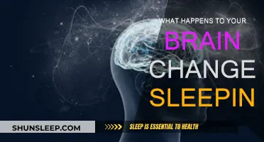 Brain Changes While You Sleep: A Complex Transformation