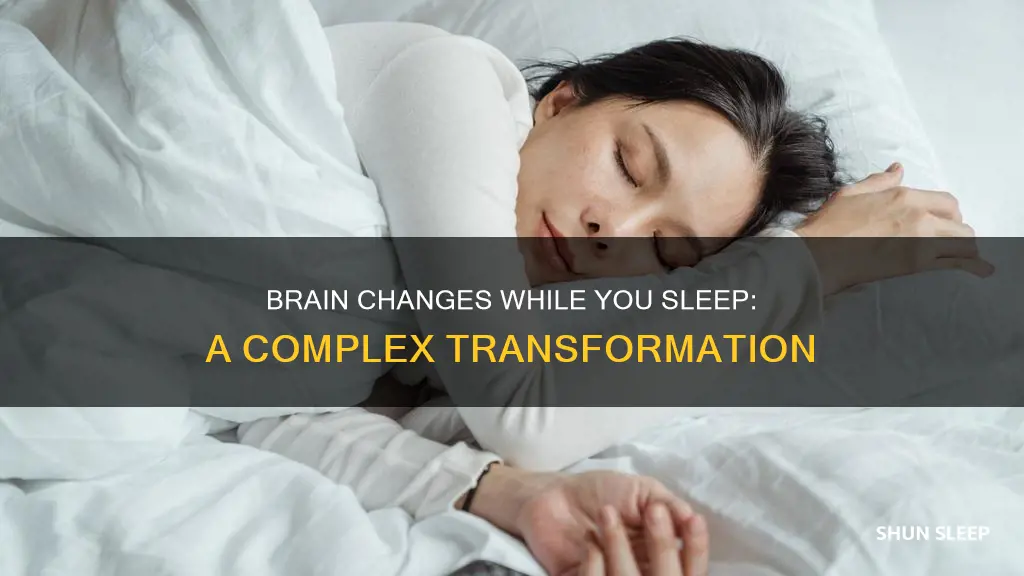 what happens to your brain change sleeping