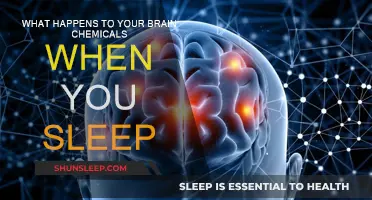 Brain Chemicals and Sleep: Understanding the Connection