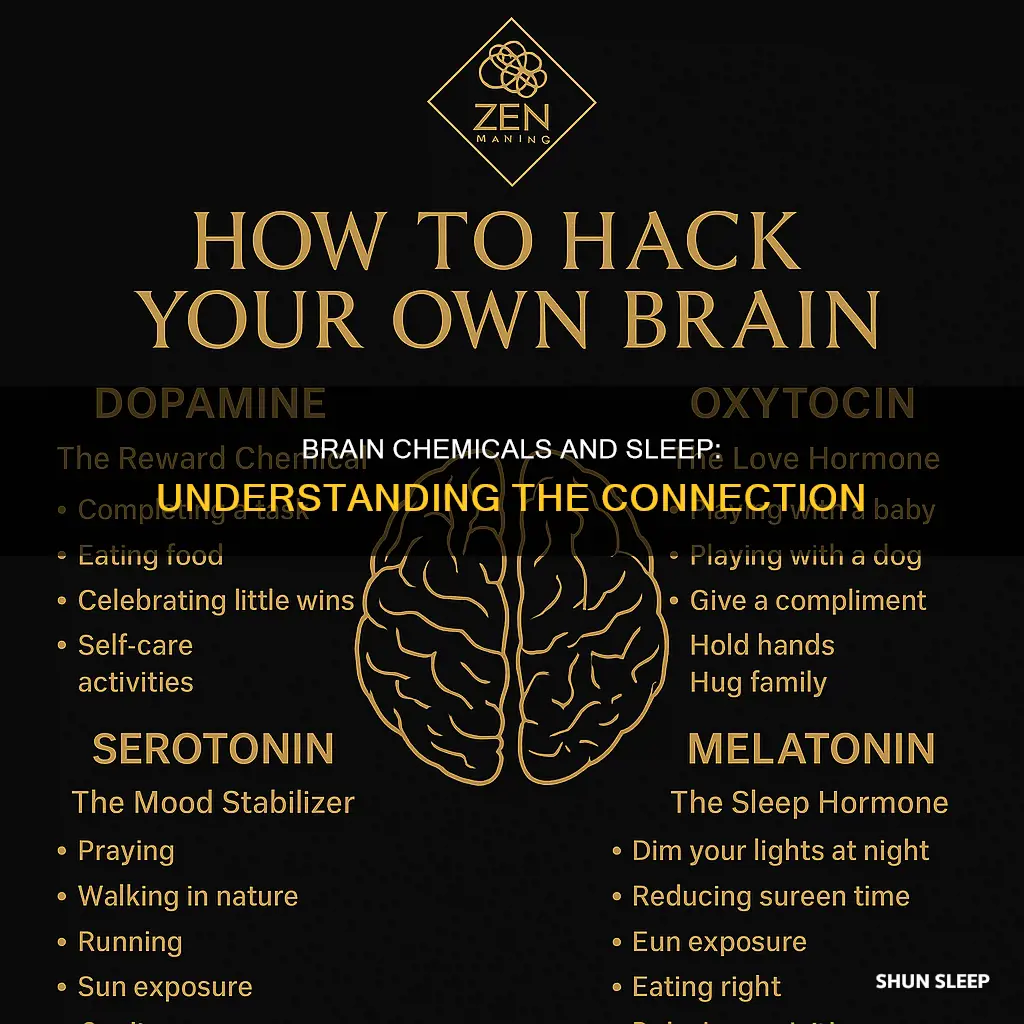 what happens to your brain chemicals when you sleep