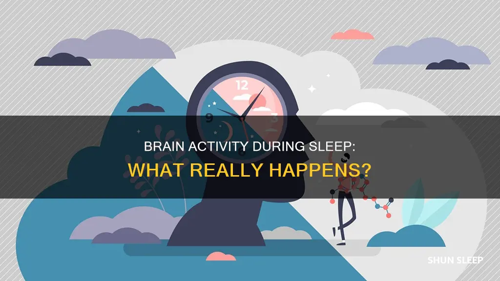 what happens to your brain once it goes to sleep