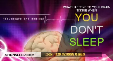 Brain on No Sleep: Tissue Damage and Repair