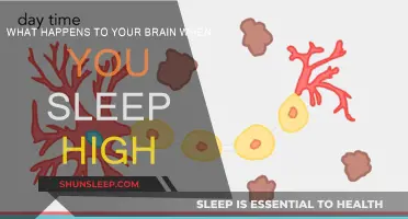 How Weed Affects Your Sleep and Brain