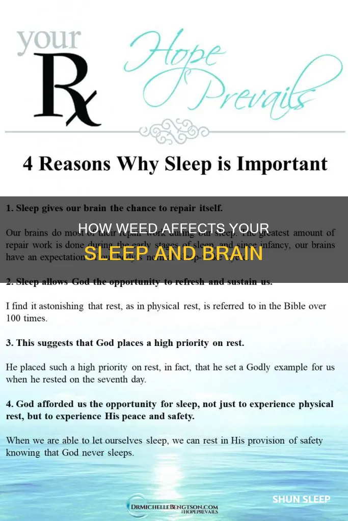 what happens to your brain when you sleep high