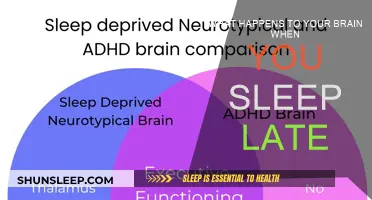 Late Nights: The Brain's Unseen Battle