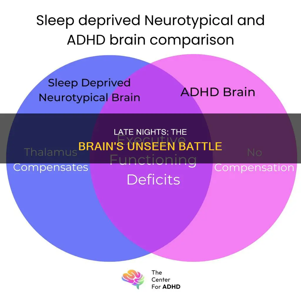 what happens to your brain when you sleep late