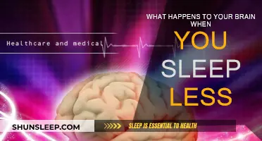 Brain on Less Sleep: A Recipe for Disaster