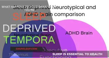 Sleep Deprivation: Brain Function and Temporary Effects