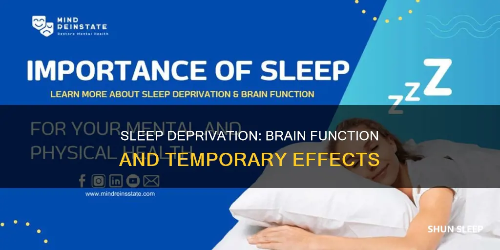 what happens to your brain when you