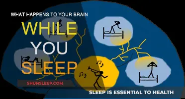 Brain Activity During Sleep: Unlocking the Mystery