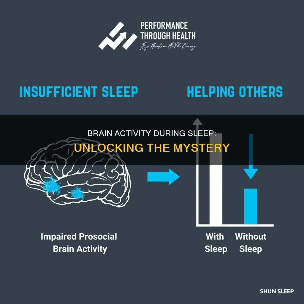 what happens to your brain while you sleep