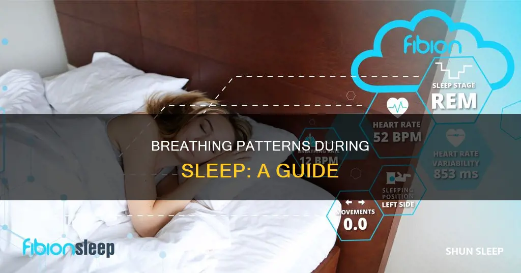 what happens to your breathing rate when you sleep