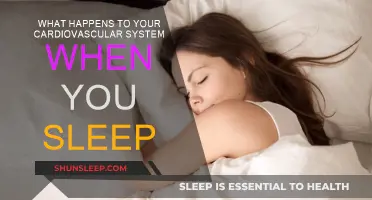 How Sleep Improves Your Cardiovascular Health