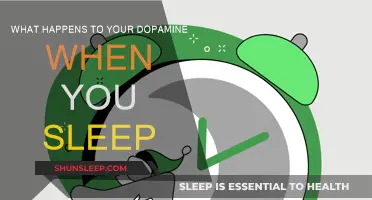 How Sleep Affects Your Dopamine Levels