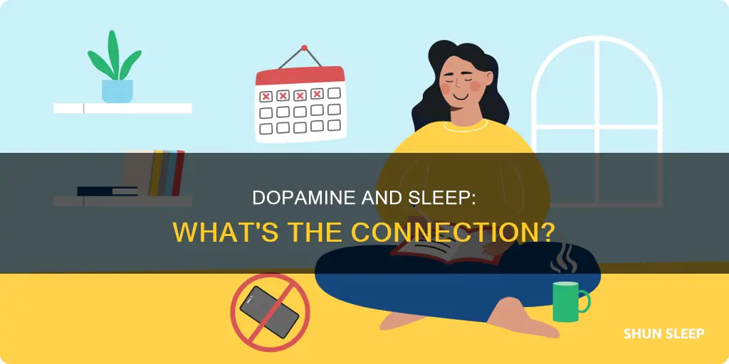 what happens to your dopemainmen when you sleep