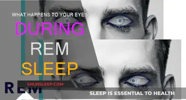 REM Sleep: Eye Movements and Dreams