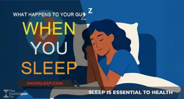 How Sleep Affects Your Gut Health