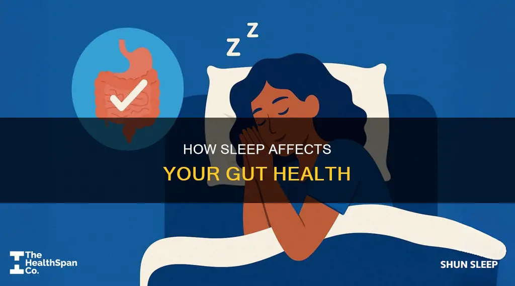what happens to your gut when you sleep